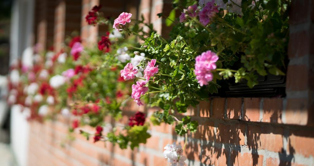 Guest House Vila Djokic Zlatibor Exterior foto